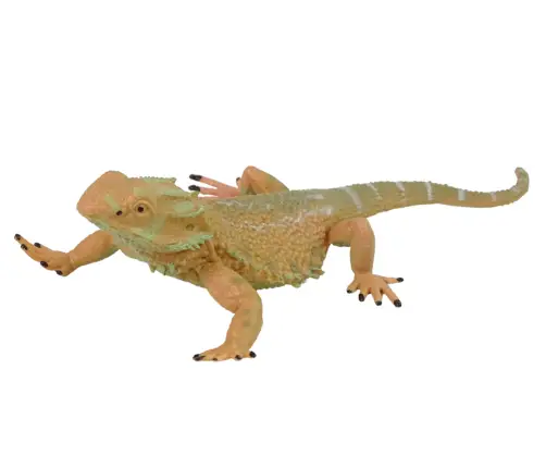 Agama Bearded Collector's Figurine Animals of the World