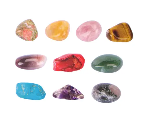 Archaeology Excavation Set Earth Tools Minerals Fiche