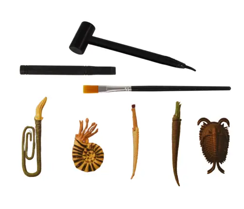 Ancient Creatures Excavation Set Ammonite Surprise