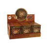 Ancient Creatures Excavation Set Ammonite Surprise