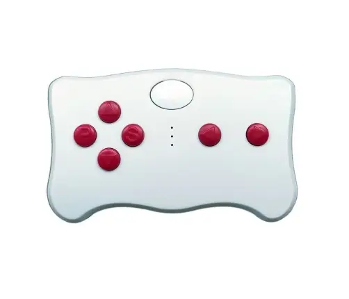 Remote Control TX10 2.4G with Module FC