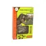 Dinosaur Tyrannosaurus Excavation Educational Kit