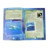 Ammonite Shark Excavation Educational Kit Ammonite Shark Excavation Educational Kit
