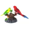 Singing Moving Parakeets Colorful Tree