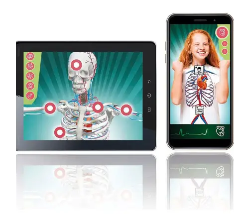 Science Fun Super Anatomy Polish Language Clementoni 50919