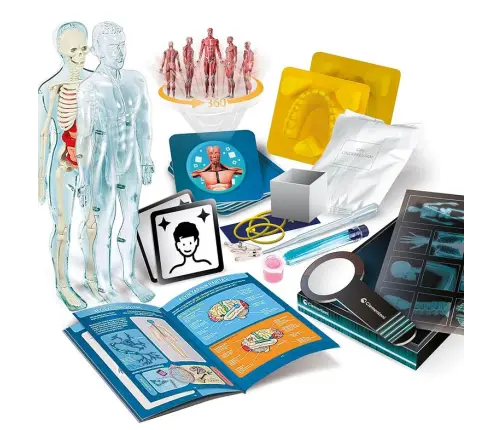 Science Fun Super Anatomy Polish Language Clementoni 50919