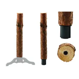 Domyślna nazwa Domyślna nazwa