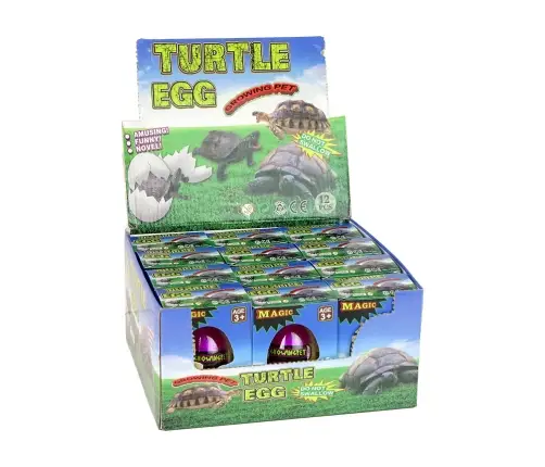 Hatching Magic Turtle Egg Growing 6 cm.