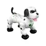 Interactive Remote Controlled Robot Doggy