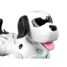 Interactive Remote Controlled Robot Doggy