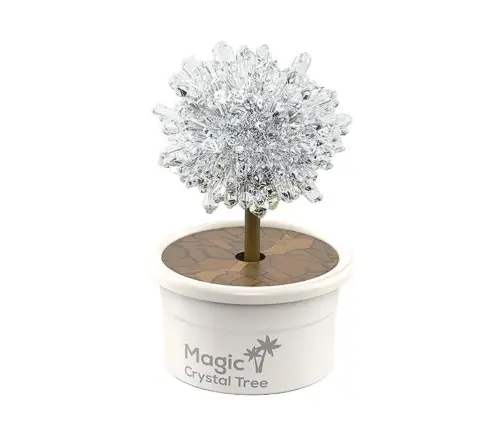Magic Tree Crystal Growing Silver Experiences