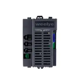 Control unit RX98-1 24V A730-2