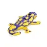 Inflatable Salamander For Swimming 191 x 119 cm Bestway 41502