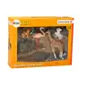 Set of Animals Figurines Giraffe Flamingo Elephant Tiger