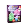 Creative Educational Kit for Growing Crystal Trees