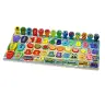 Educational Panel Wooden Sorter Board Colorful Science Puzzle 59 pieces.