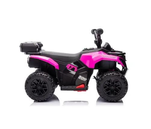 GTS1155 Pink Battery Quad
