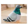 Plush Gray Crested Pigeon Mascot 20cm
