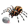 Rādiovadāms zirneklis Tarantula