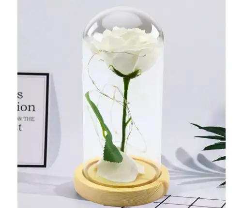 Eternal Rose In Glass Dome LED Lighting White 21x11cm
