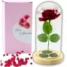 Eternal Rose In Glass Dome LED Lighting Red 21x11cm