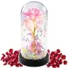 Eternal Rose in Dome with LED Lighting Pink with Heart and Balls