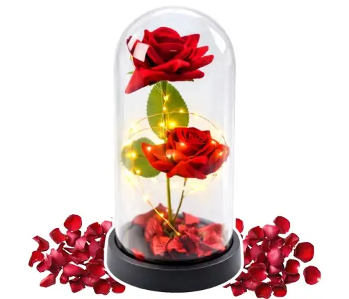 Eternal 2 Roses in Dome with LED Lighting and Rose Petals Red 21x11cm