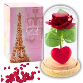 Eternal Rose in Dome with LED Lighting Red with Heart 14x8cm Eternal Rose in Dome with LED Lighting Red with Heart 14x8cm