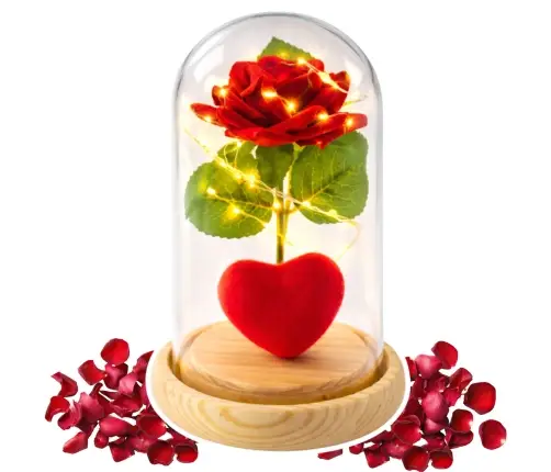Eternal Rose in Dome with LED Lighting Red with Heart 14x8cm