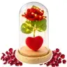 Eternal Rose in Dome with LED Lighting Red with Heart 14x8cm