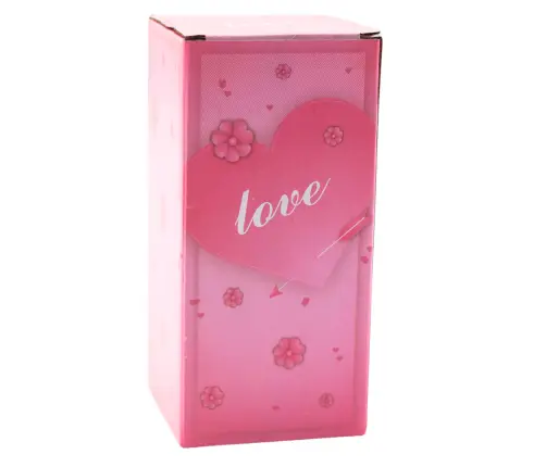 Eternal Rose in Dome with LED Lighting Red with Heart 18.5x8cm