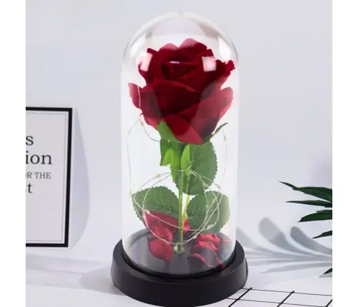 Eternal Rose in Dome with LED Lighting Red 21x11cm