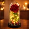 Eternal Rose in Dome with LED Lighting Red 21x11cm