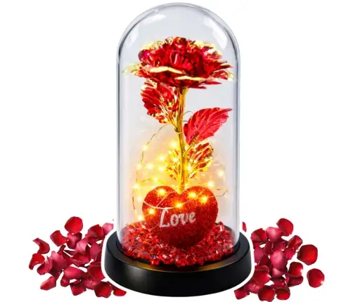 Eternal Rose in Dome with LED Lighting Heart Beads Red 21x11cm