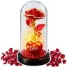 Eternal Rose in Dome with LED Lighting Heart Beads Red 21x11cm
