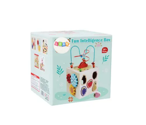 Educational Cube Sensory Sorter 5 Levels Wooden