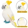 Plush Mascot Cuddly Toy Parrot Cockatoo White 35cm