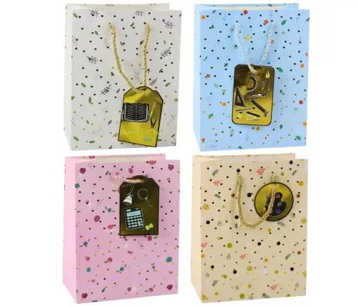 Student Teacher Gift Bag 23 x 18 x 10.5 cm