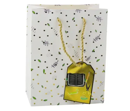 Student Teacher Gift Bag 23 x 18 x 10.5 cm