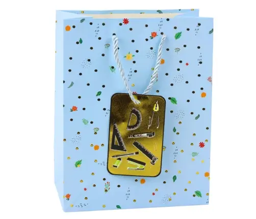 Student Teacher Gift Bag 23 x 18 x 10.5 cm