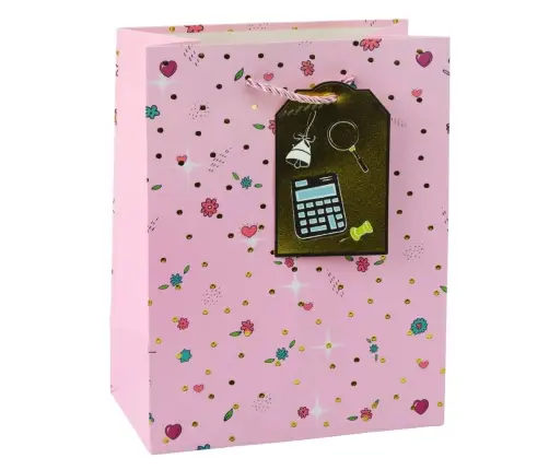 Student Teacher Gift Bag 23 x 18 x 10.5 cm