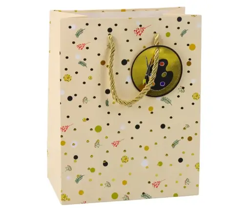 Student Teacher Gift Bag 23 x 18 x 10.5 cm