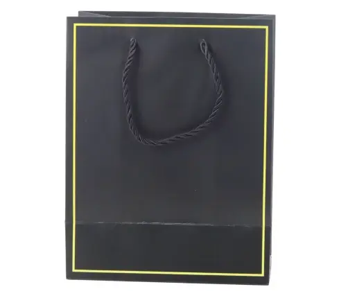 Gift Bag with Gold Frame Mix Color 23 x 18 x 10 cm