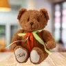 Plush Toy Teddy Bear Green-Red Bow Brown 30cm