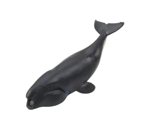 Mini Figurine Set Marine Animals Mammals Killer Whale Photo Dolphin 6-8cm 6pcs Mini Figurine Set Marine Animals Mammals Killer Whale Photo Dolphin 6-8cm 6pcs