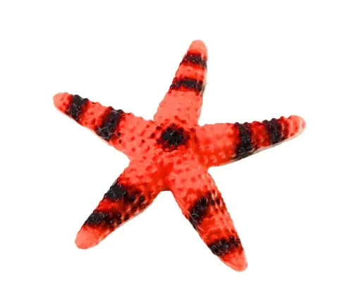 Set of Figures Sea Animals Crab Starfish Squid Ammonite 5pcs.