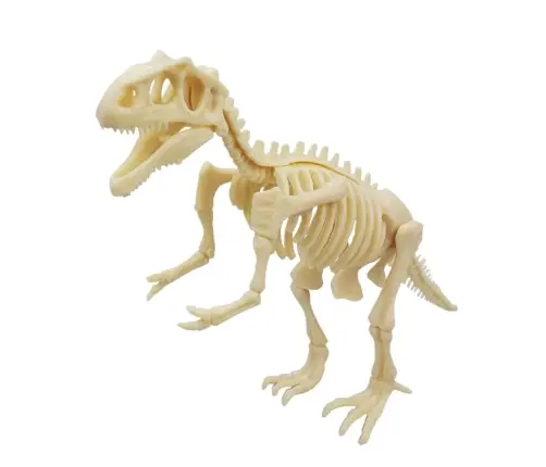 Archaeology Excavation Kit Fluorescent Skeleton Tools