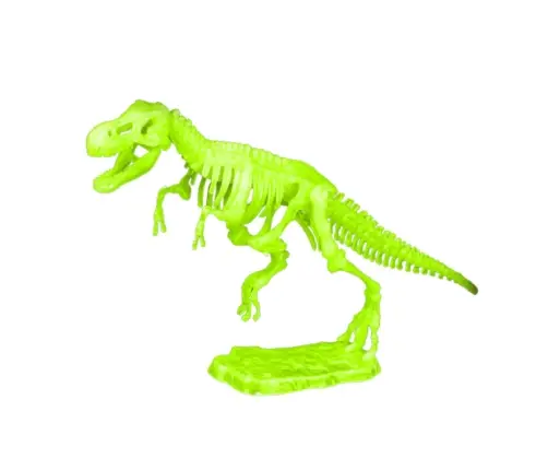 Archaeology Excavation Kit Fluorescent Skeleton Tools