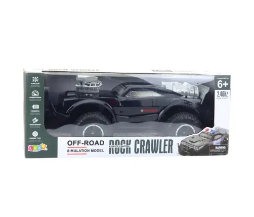 Large Off-Road Remote Controlled RC Sports Car Black 1:8