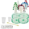 Educational Kit Experience Growing Crystal Trees